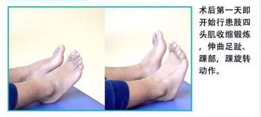 康复 英智康复 康复训练 康复 英智康复 康复训练